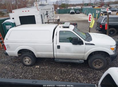 Lot #3005343811 2015 FORD F-250 XL