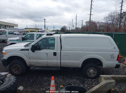 Lot #3005343811 2015 FORD F-250 XL