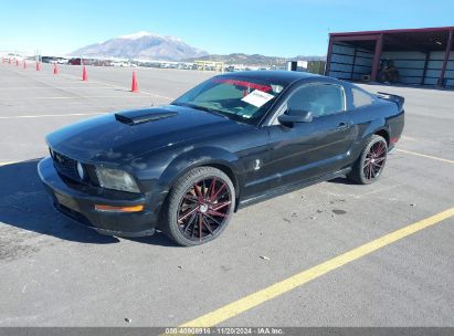 Lot #2992831450 2008 FORD MUSTANG GT DELUXE/GT PREMIUM