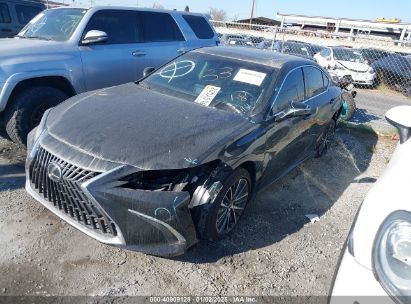 Lot #3050071584 2024 LEXUS ES 300H