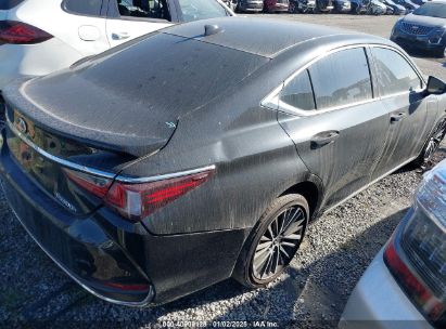 Lot #3050071584 2024 LEXUS ES 300H