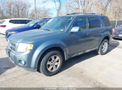 Lot #3035082438 2011 FORD ESCAPE LIMITED