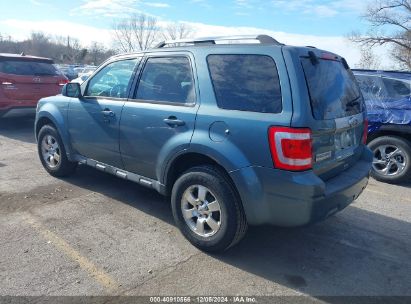 Lot #3035082438 2011 FORD ESCAPE LIMITED