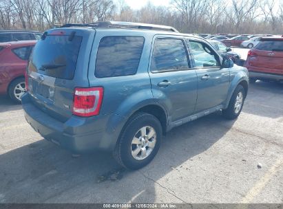 Lot #3035082438 2011 FORD ESCAPE LIMITED