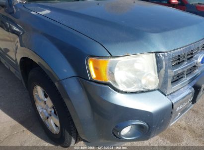 Lot #3035082438 2011 FORD ESCAPE LIMITED