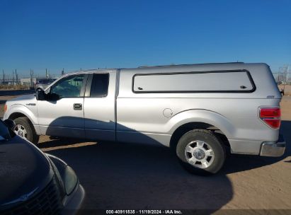 Lot #3035089149 2014 FORD F-150 XLT