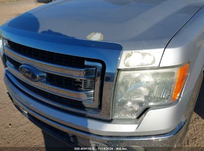 Lot #3035089149 2014 FORD F-150 XLT