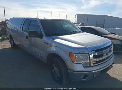 Lot #3035089149 2014 FORD F-150 XLT