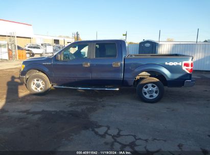 Lot #3028470892 2014 FORD F-150 XLT