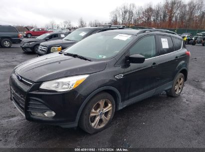 Lot #2995292912 2014 FORD ESCAPE SE