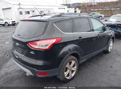 Lot #2995292912 2014 FORD ESCAPE SE