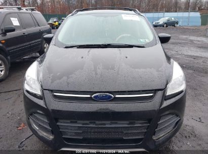 Lot #2995292912 2014 FORD ESCAPE SE