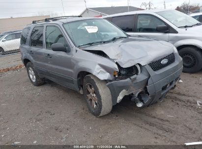 Lot #3052074719 2007 FORD ESCAPE XLT