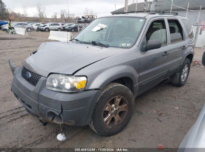 Lot #3052074719 2007 FORD ESCAPE XLT