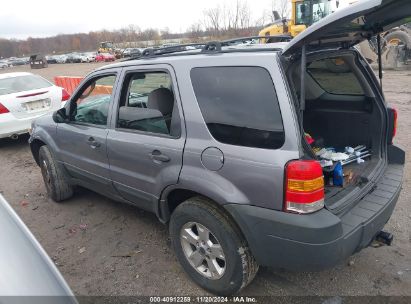 Lot #3052074719 2007 FORD ESCAPE XLT