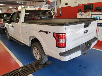 Lot #2994068188 2020 FORD F-150 XL