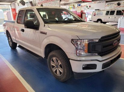 Lot #2994068188 2020 FORD F-150 XL