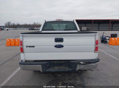 Lot #3035070279 2010 FORD F-150 STX/XL