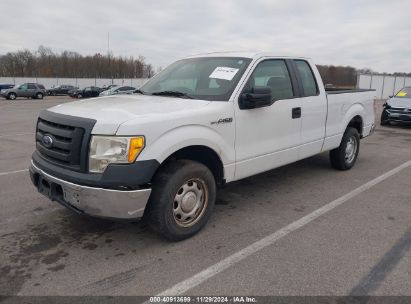 Lot #3035070279 2010 FORD F-150 STX/XL