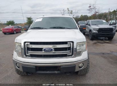 Lot #2992834118 2014 FORD F-150 XLT