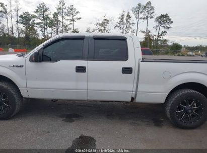 Lot #2992834118 2014 FORD F-150 XLT