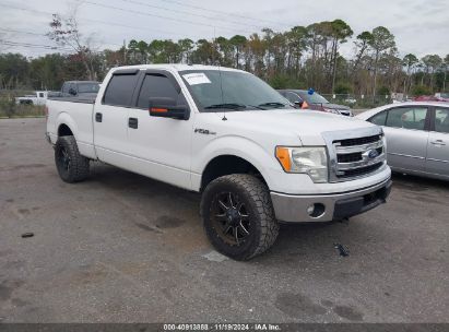 Lot #2992834118 2014 FORD F-150 XLT