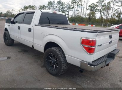 Lot #2992834118 2014 FORD F-150 XLT