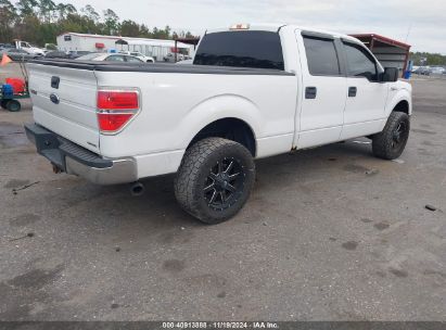 Lot #2992834118 2014 FORD F-150 XLT