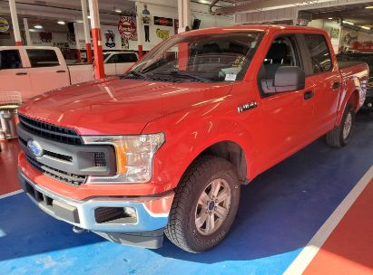 Lot #2995301324 2020 FORD F-150 XL