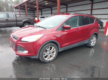 Lot #3028042406 2016 FORD ESCAPE SE