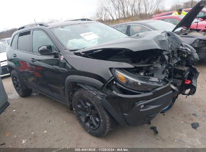 Lot #3052074415 2019 JEEP CHEROKEE TRAILHAWK 4X4