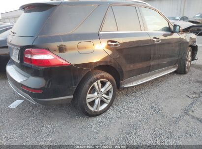 Lot #3056475457 2015 MERCEDES-BENZ ML 350