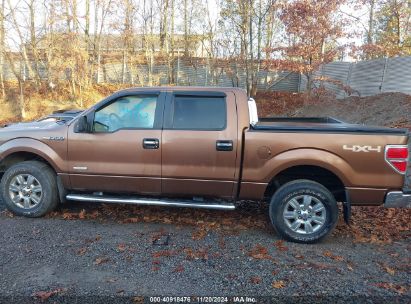 Lot #2992834092 2012 FORD F-150 XLT