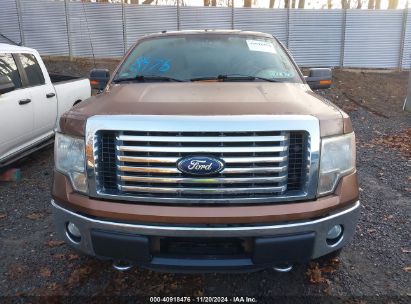 Lot #2992834092 2012 FORD F-150 XLT