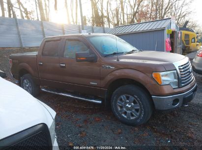 Lot #2992834092 2012 FORD F-150 XLT