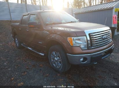 Lot #2992834092 2012 FORD F-150 XLT