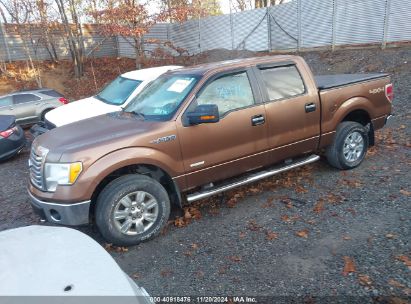 Lot #2992834092 2012 FORD F-150 XLT