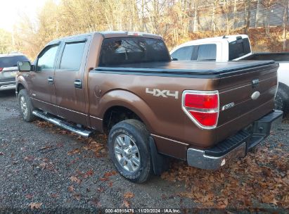 Lot #2992834092 2012 FORD F-150 XLT