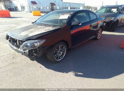 Lot #2992828505 2006 SCION TC