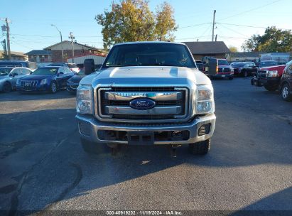 Lot #2994067976 2016 FORD F-250 XLT