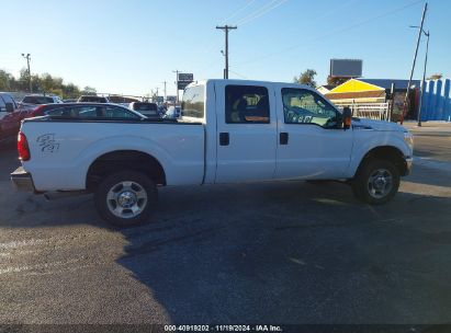 Lot #2994067976 2016 FORD F-250 XLT