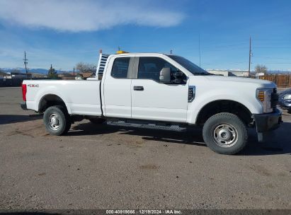 Lot #3053066569 2019 FORD F-250 XL