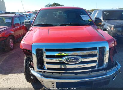 Lot #3028042358 2011 FORD F-150 XLT