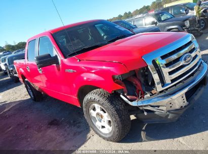 Lot #3028042358 2011 FORD F-150 XLT