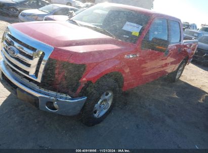 Lot #3028042358 2011 FORD F-150 XLT