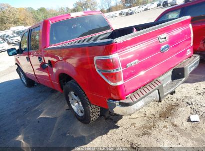 Lot #3028042358 2011 FORD F-150 XLT