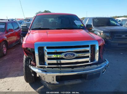 Lot #3028042358 2011 FORD F-150 XLT