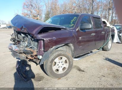 Lot #3005343746 2008 CHEVROLET SILVERADO 1500 LT1