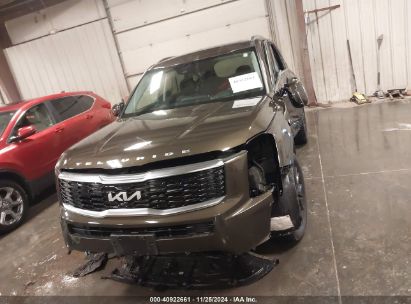 Lot #3035082174 2022 KIA TELLURIDE SX