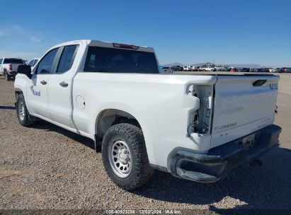 Lot #3035089040 2020 CHEVROLET SILVERADO 1500 4WD  STANDARD BED WT